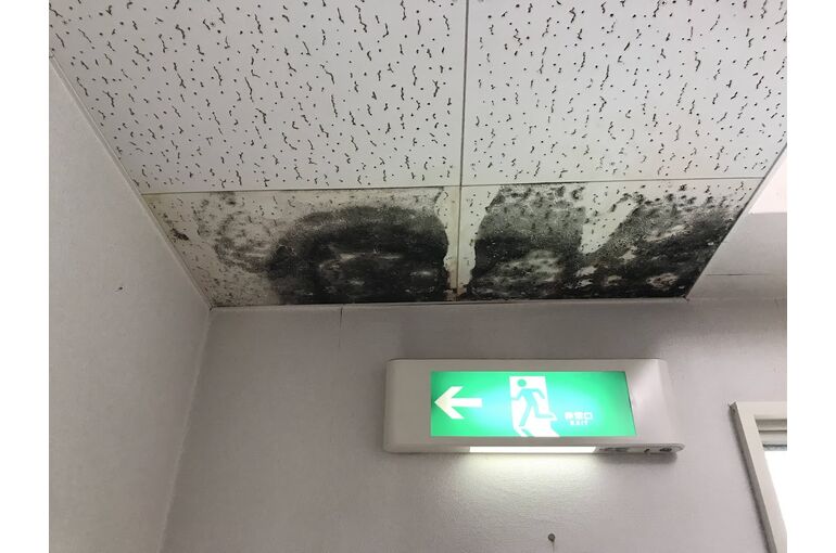 漏水確認0